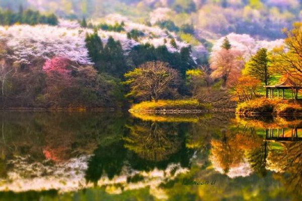 Кракен даркнет аккаунт