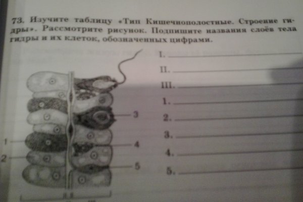 Кракен сайт официальный зеркало