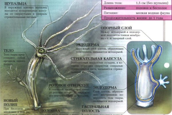 Доступ к сайту кракен